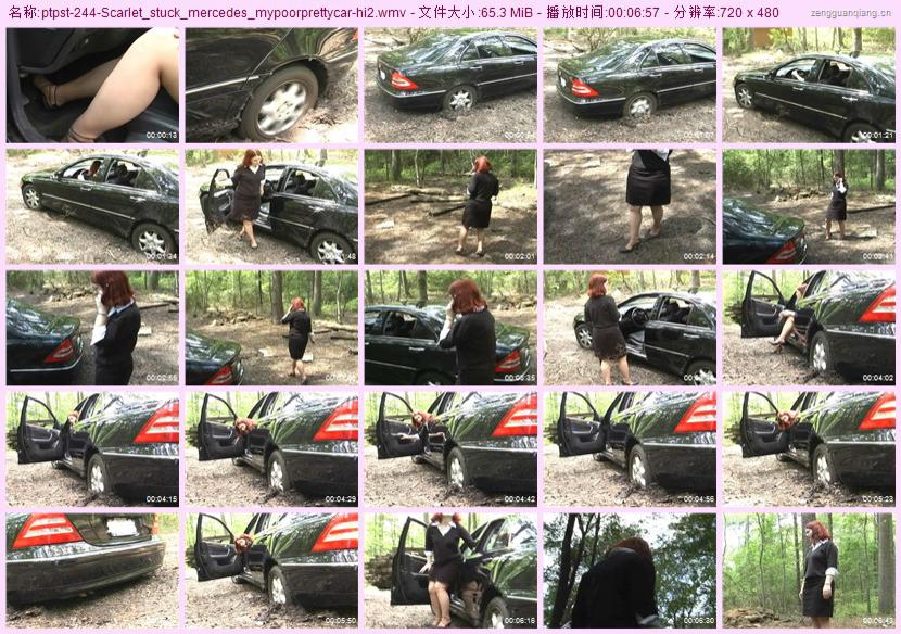 ptpst-244